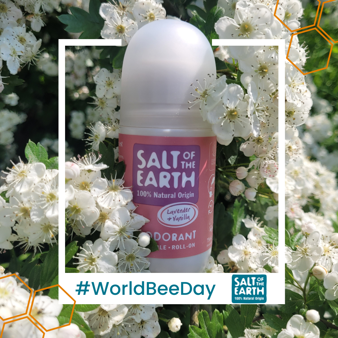 World Bee Day!